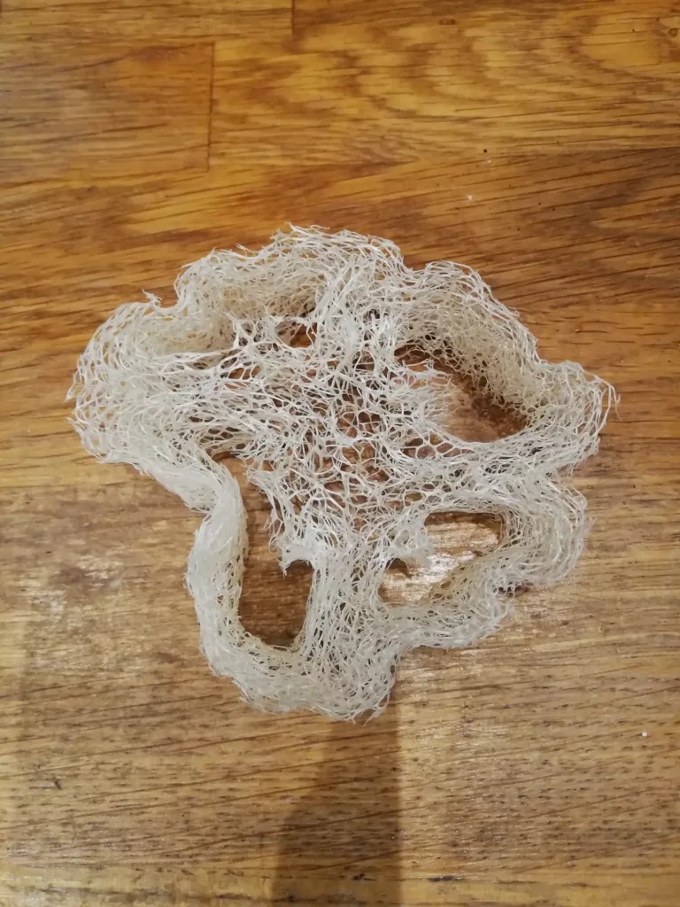 loofah